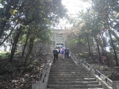 -紫金山天文台