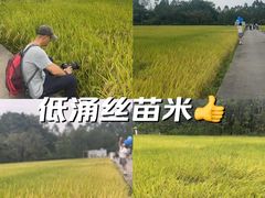 -低涌(地铁站)