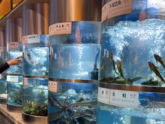 -老船舫·现做活鲜鱼馆(东郊记忆店)