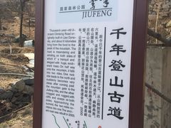 -北京鹫峰国家森林公园