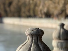 -颐和园