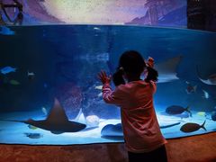 -沈阳海洋探索中心