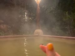 -天目湖涵田半山温泉