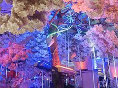 -巴特餐饮6加1音乐餐吧·新疆菜