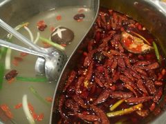 -寂寞的豆芽(龙泽路店)