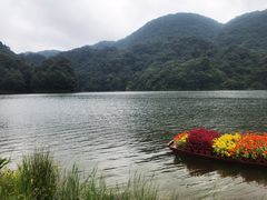-广州市石门国家森林公园