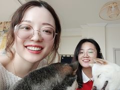 -柴犬小屋·柴餐厅·狗咖食堂(金鼎广场店)