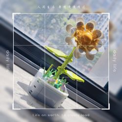 -满天星母婴月子中心(湖塘馆)