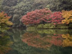 -重庆工商大学(南岸校区)