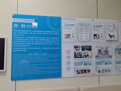 -北京观赏动物医院·24小时大型综合·猫专科·异宠专科