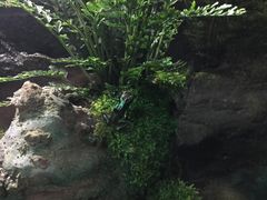 -暹罗海洋世界