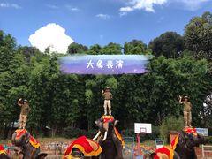 -云南民族村