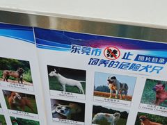 -宠颐生宠物医院外科·内科·皮肤科·影像科(石龙店)