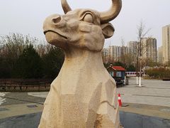 -永定河休闲森林公园