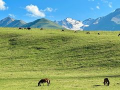 -新疆那拉提国家旅游度假区