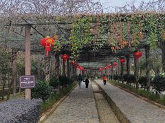 -福建土楼（南靖）云水谣景区-和贵楼