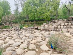 -无锡动物园·太湖欢乐园