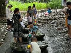 -成都市活水公园