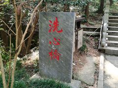 -冶父山国家森林公园