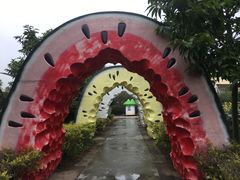 -百万葵园