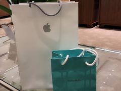 -Tiffany & Co.蒂芙尼
(天津万象城店)