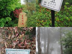 -梧桐山风景名胜区