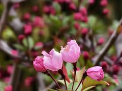 -外高桥保税区南(地铁站)