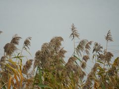 -东山风景区(洞庭东山)