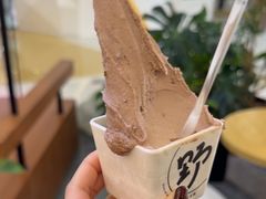 -野人先生Gelato(上海长宁龙之梦店)