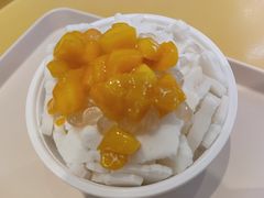 -豪叔椰冰(青春颂店)