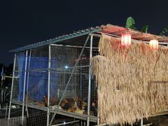 -石岐乳鸽村(南海第三分店)