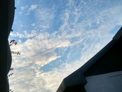 -那坡里比萨(康王北路店)