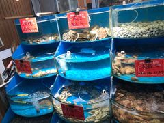 -北戴河庆山饭店·海鲜砂锅粥(北戴河黑石路店)