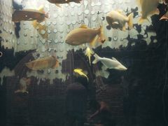 -弘安丽水温泉酒店