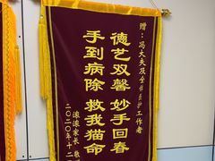 -中农国际动物医院24小时·猫科·骨科·急重症中心