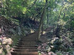 -九曜山