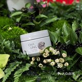 礼遇圣诞🎄 | 集结茶灵璀璨星品