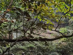 -赤水丹霞旅游区·大瀑布