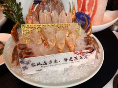-海月轩海鲜豆捞(紫金塔店)