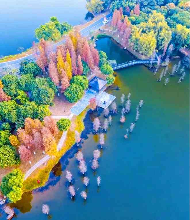 松山湖风景区松湖烟雨(松湖烟雨)-"鲜花是自然界对人类最美的馈赠.
