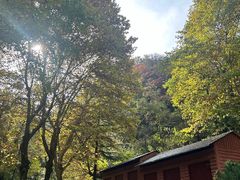 -秦岭终南山世界地质公园翠华山景区