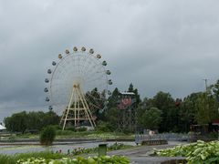 -白洋淀景区