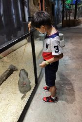 -酷嗒动物文化乐园(cutezoo西溪乐天城店)