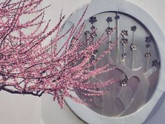 -莘庄梅园