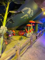 -宝燕乐园(闵行旗舰店)