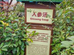 -太白山御龙湾温泉