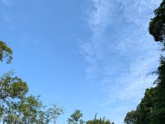 -广州市帽峰山景区
