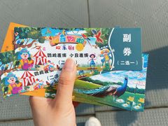 -沈阳鸟岛