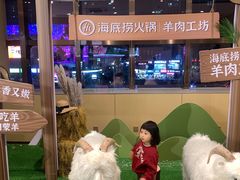 -海底捞火锅(河东万达广场店)