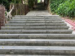 -长洲岛